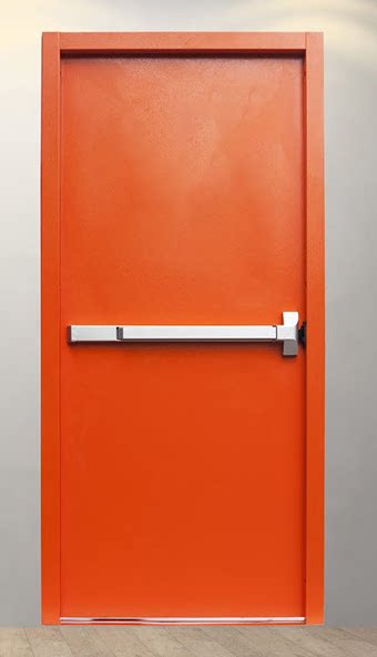Emergency exit door: red leaf with panic bar