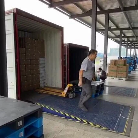 Industrial Steel Container Dock Leveler