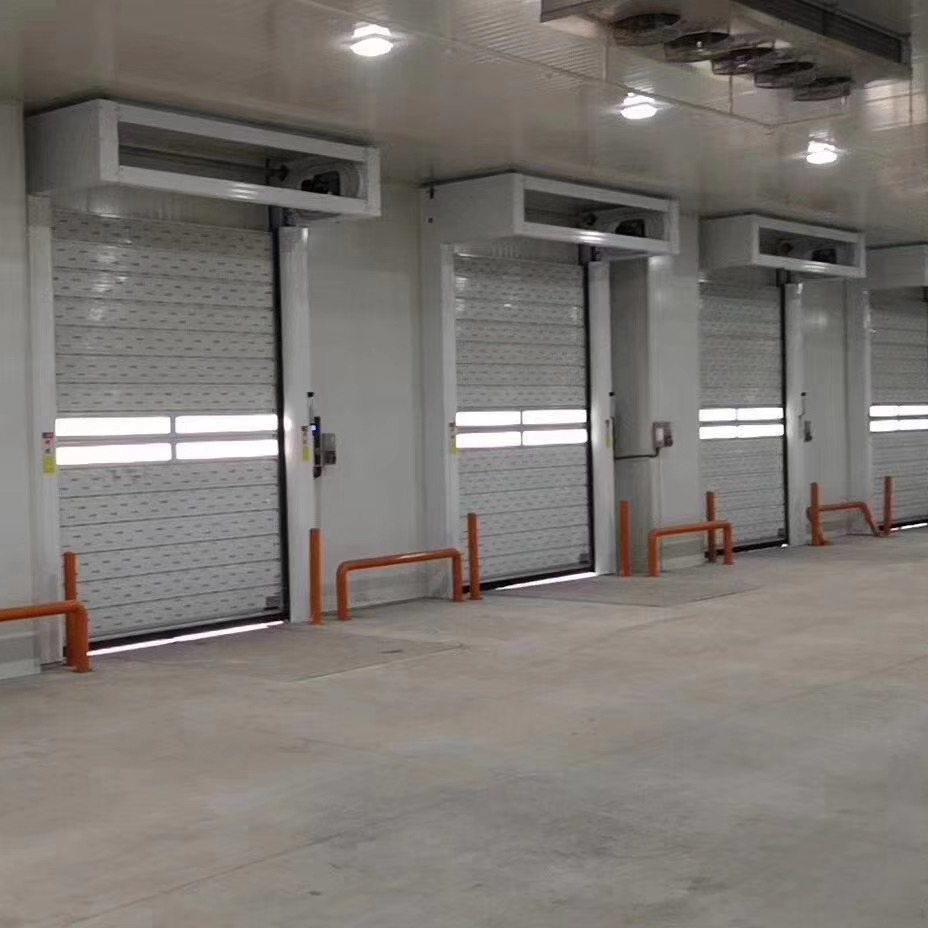 Insulated High Speed Spiral Door
